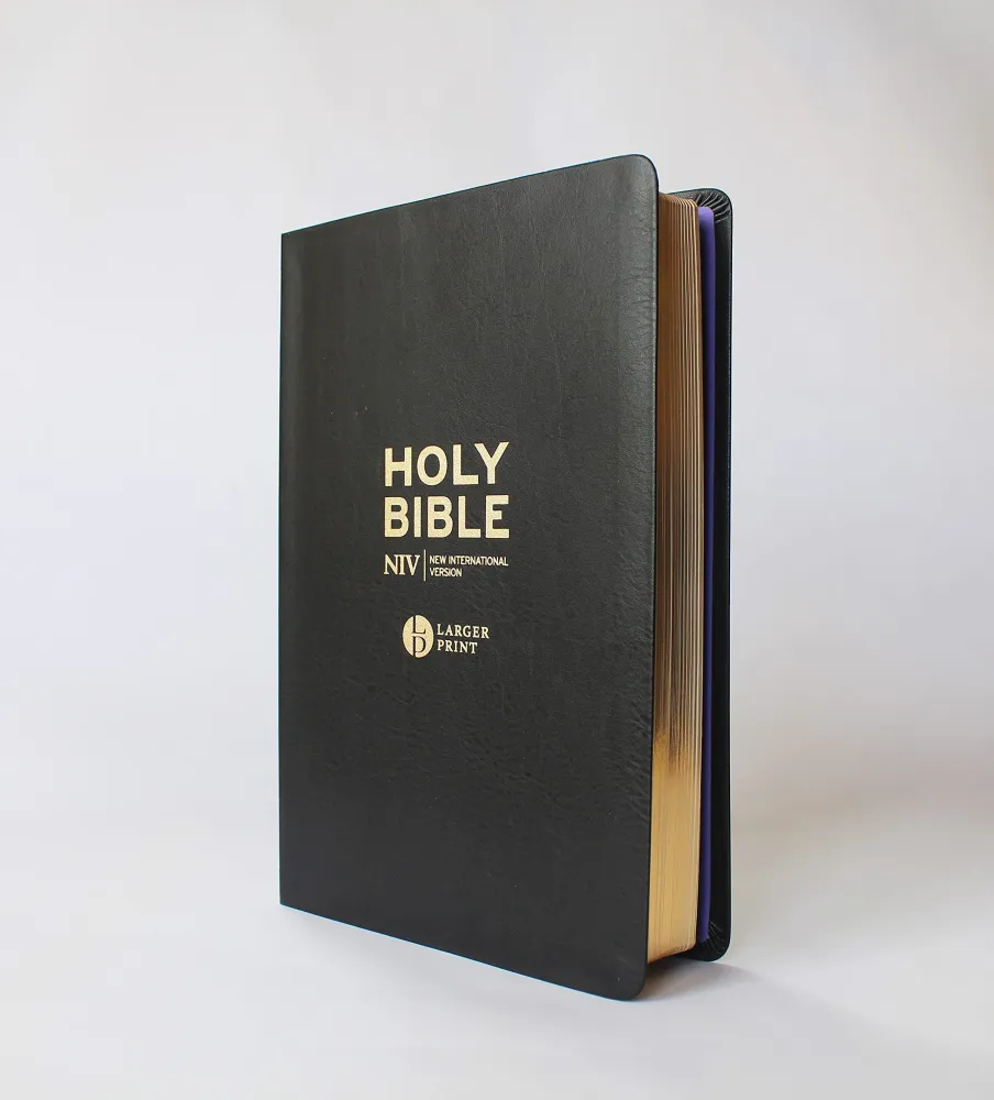 Englisch, Bibel New International Version, Grossdruck, Leder, schwarz