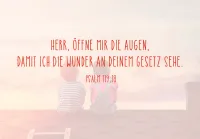 Neujahrslose 100 Stück Emotion