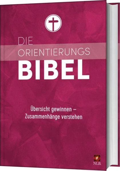 Die Orientierungsbibel - Neues Leben - Übersicht gewinnen - Zusammenhänge verstehen