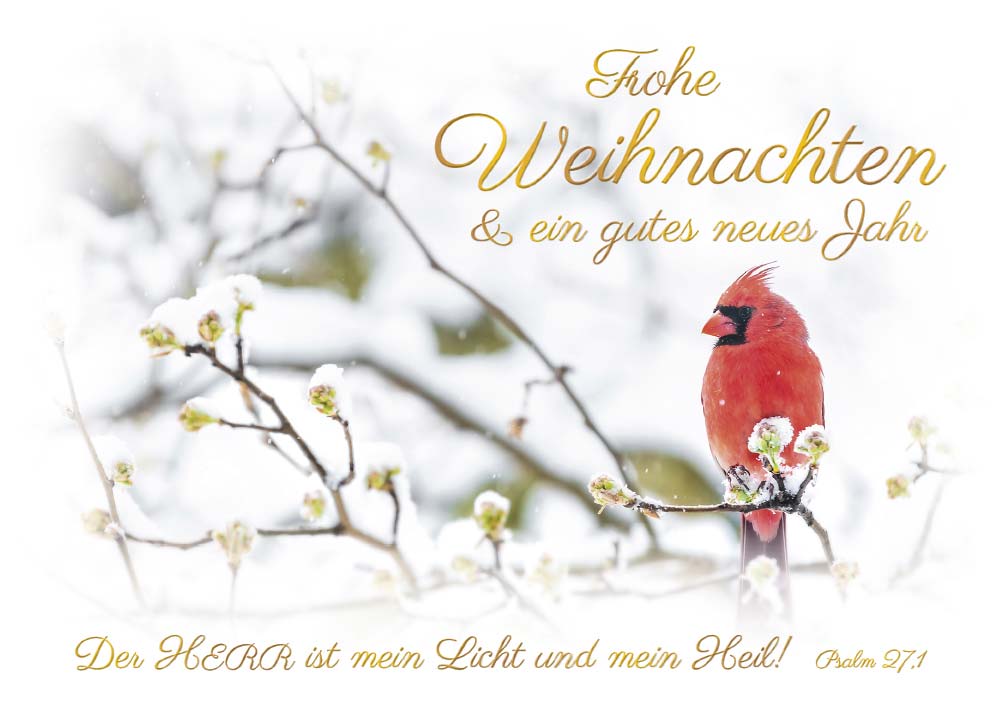 Postkarte Weihnachten Roter Vogel