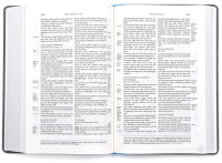 Bibel Schlachter 2000 Taschenausgabe mit Parallelstellen, farbiger Einband hellblau/grau /...