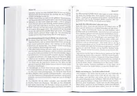 Elberfelder Bibel Grossdruckausgabe - Hardcover, Motiv Baum