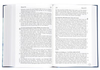 Elberfelder Bibel in grosser Schrift - Hardcover mit Motiv Baum