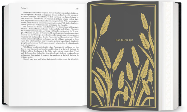 Neues Leben - Die Bibel - Golden Grace Edition (Marineblau) - einspaltig
